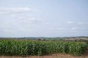 yield farm solana on coinbase staking in 2025