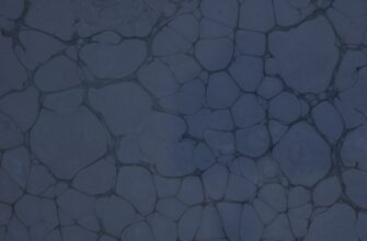 avax testnet faucet no kyc