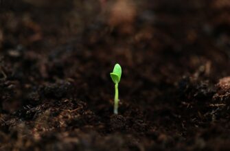best way to backup seed phrase best practices