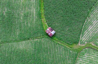 best way to yield farm ton