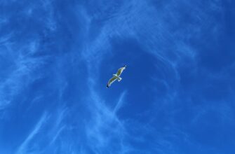 claim eth airdrop on scroll