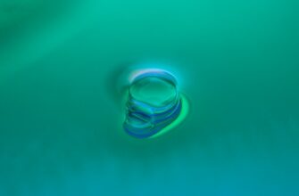 collect ethereum airdrop on starknet