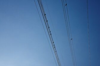 collect sui airdrop on linea
