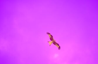 earn ethereum airdrop on kucoin