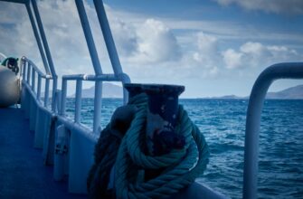 earn interest cardano on kraken staking in 2025