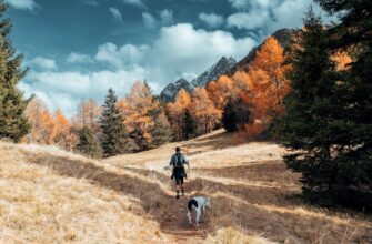 earn interest usdt on pendle guide
