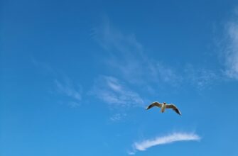 earn sol airdrop on kucoin