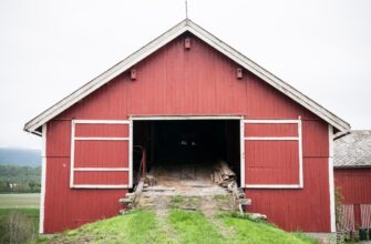 farm ada on beefy finance guide
