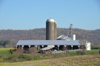 farm ada on coinbase staking