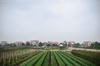 farm dai on yearn finance in 2025