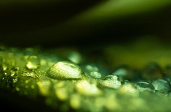 farm ethereum on compound flexible