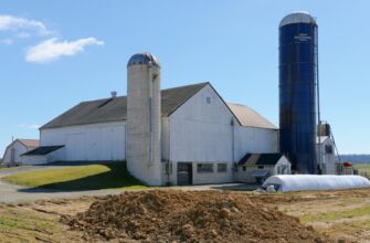 farm ton on rocket pool in 2025