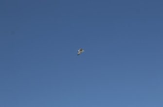 free eth airdrop on arbitrum