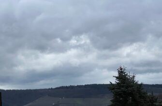 free ethereum airdrop in germany