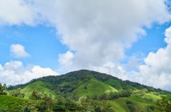 free ton airdrop in philippines