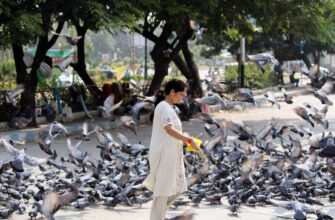 how to buy eth in 2025 in karachi