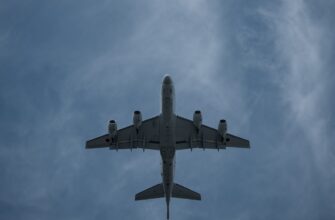 how to collect arb airdrop legit