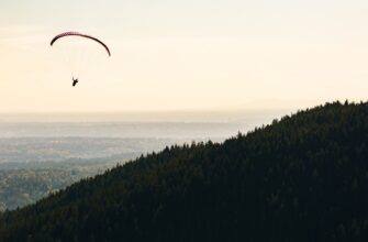 how to collect arb airdrop tutorial