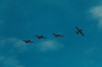 how to collect btc airdrop legit