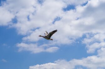 how to earn zk airdrop step by step