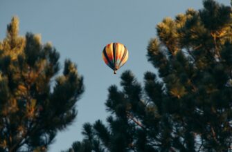 how to free opbnb airdrop tutorial