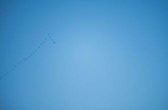 how to get solana airdrop airdrop list