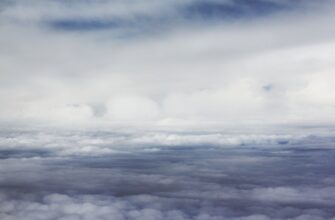 how to qualify for matic airdrop step by step