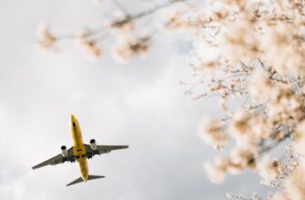 how to receive sui airdrop airdrop list