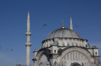 how to report airdrop income in turkey