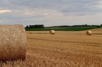 how to report defi yield in france