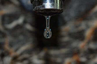 pepe testnet faucet without gas fee