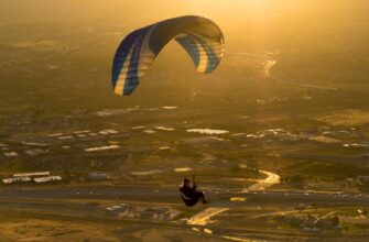 qualify for sui airdrop on optimism