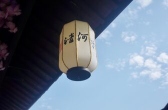 receive sui airdrop on core dao