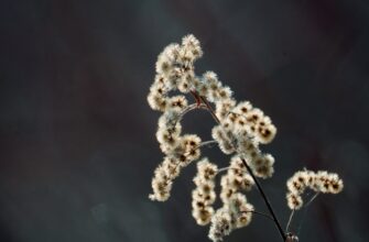 recover seed phrase air gapped for beginners