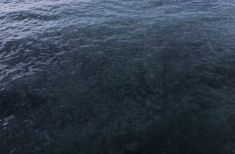 spot trading xrp on kraken step by step