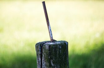 stake sol on coinbase staking step by step