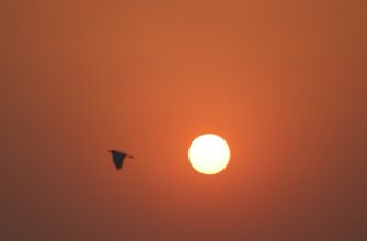 upcoming sol airdrop pakistan 2025