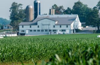 yield farm ada low risk