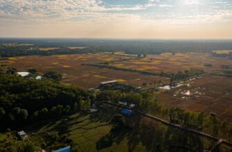 yield farm atom guide