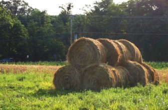yield farm ton on binance earn no lock