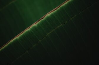 yield farm ton on kraken staking flexible