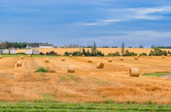yield farm usdt on yearn finance no lock