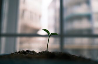 backup seed phrase offline for beginners