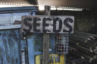 backup seed phrase without kyc best practices