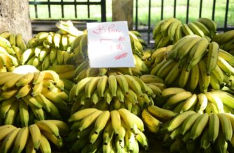 best way to buy btc in abuja