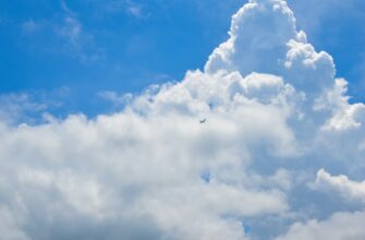claim arb airdrop on optimism