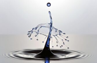 dot testnet faucet airdrop list