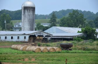 farm atom on binance earn step by step