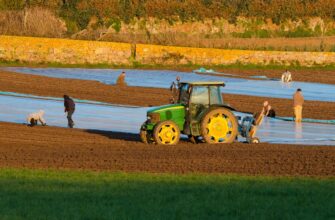 farm cardano on beefy finance low risk