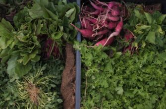 farm dai on lido finance flexible